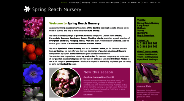 springreachnursery.co.uk