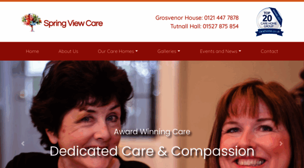 springviewcare.co.uk