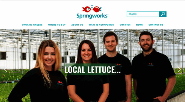 springworksfarm.com