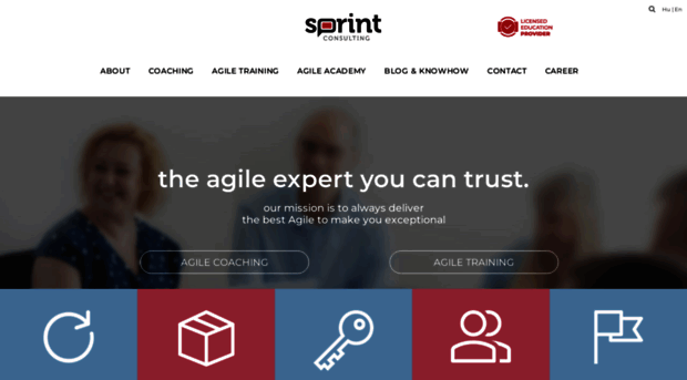 sprintconsulting.com