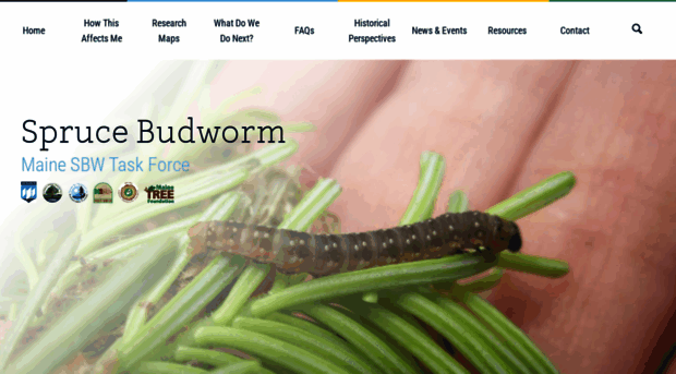 sprucebudwormmaine.org