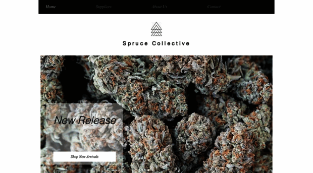 sprucecollective.co