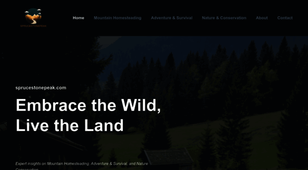 sprucestonepeak.com