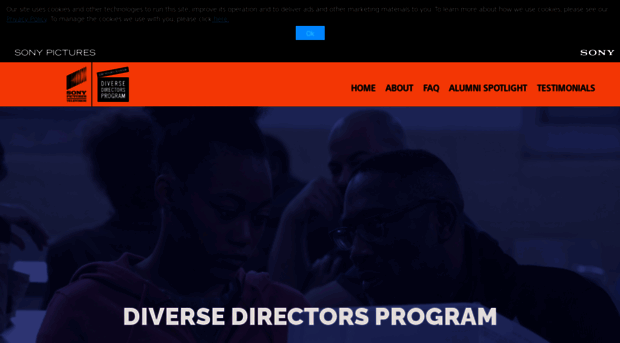 sptdiversedirectors.com