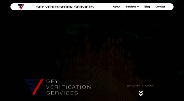 spyverificationservices.com