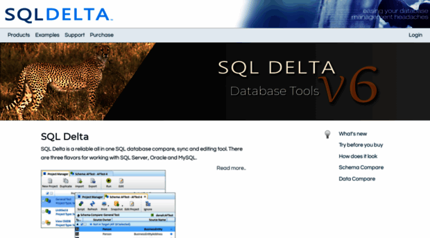 sqldelta.com