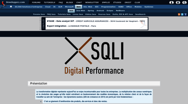 sqli.developpez.com