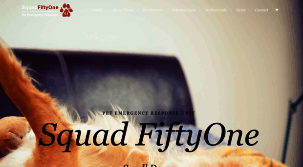 squadfiftyone.com