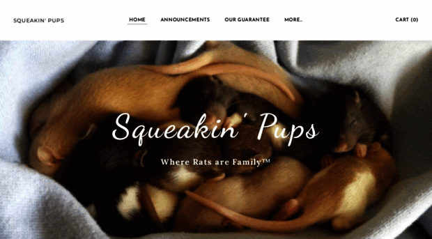 squeakinpups.weebly.com