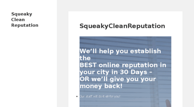 squeakycleanreputation.com