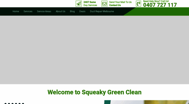 squeakygreenclean.com.au