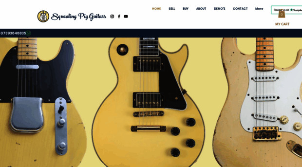 squealingpigguitars.co.uk