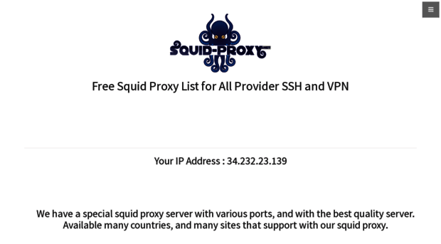 squid-proxy.net
