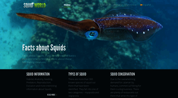 squid-world.com