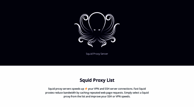 squidproxyserver.com