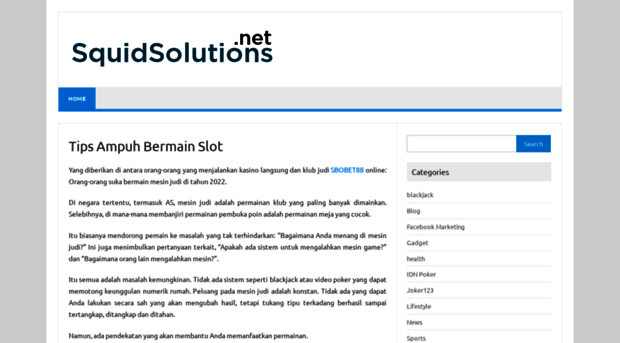 squidsolutions.net