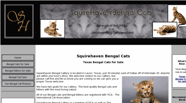 squirehavenbengalcats.com