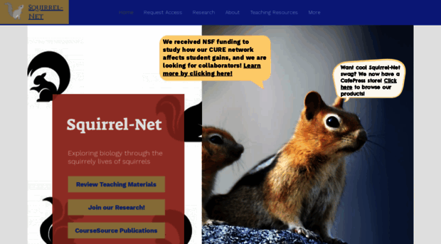 squirrel-net.org