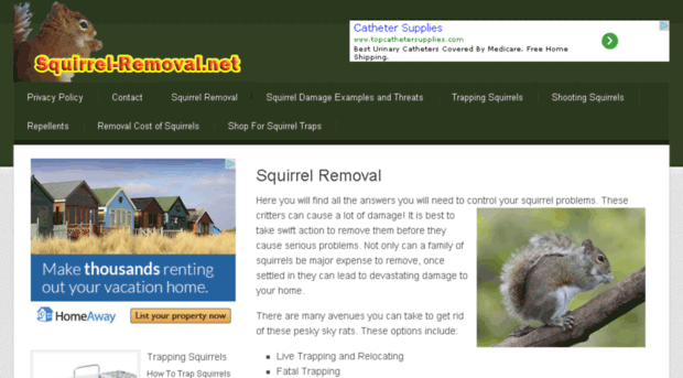 squirrel-removal.net
