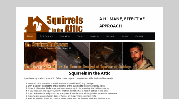 squirrelattic.com