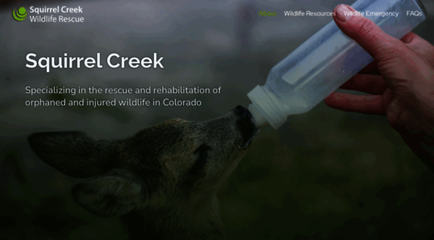 squirrelcreekwildlife.org