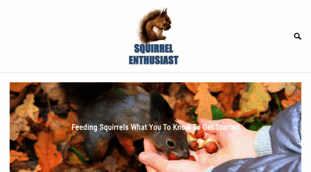 squirrelenthusiast.com