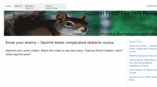 squirrelprooffeedersreview.com