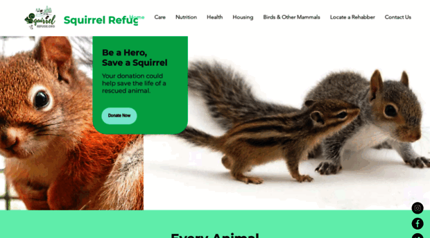 squirrelrefuge.org