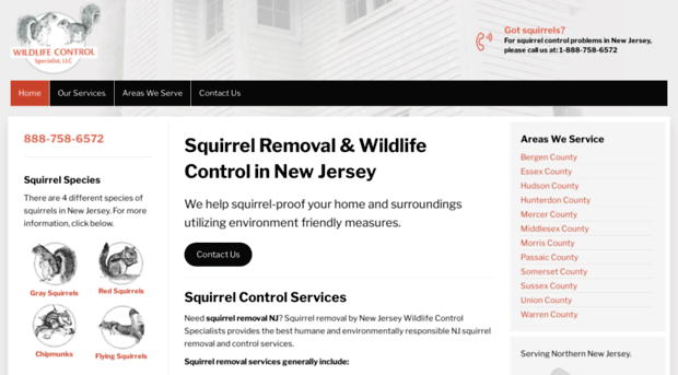 squirrels2.com