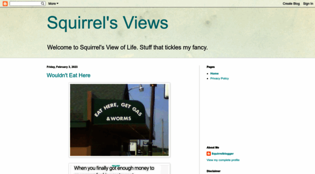 squirrelsviews.blogspot.com