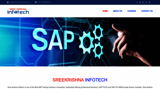 sreekrishnainfotech.in