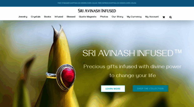 sriavinashinfused.com