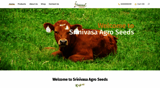 srinivasaagroseeds.com
