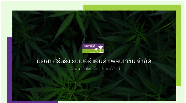 sritrangplantation.com