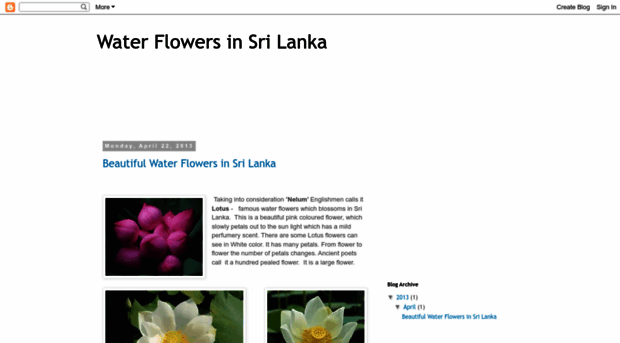 sriwaterflowers.blogspot.com