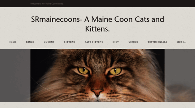 srmainecoons.com