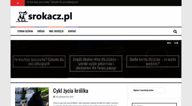 srokacz.pl