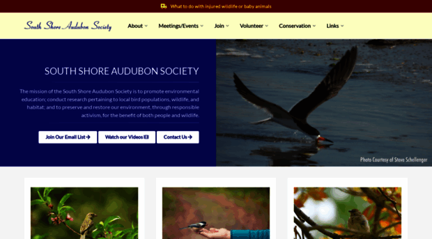 ssaudubon.org