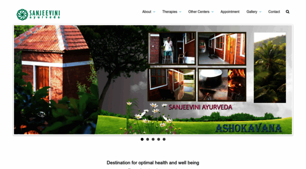 ssayurveda.com