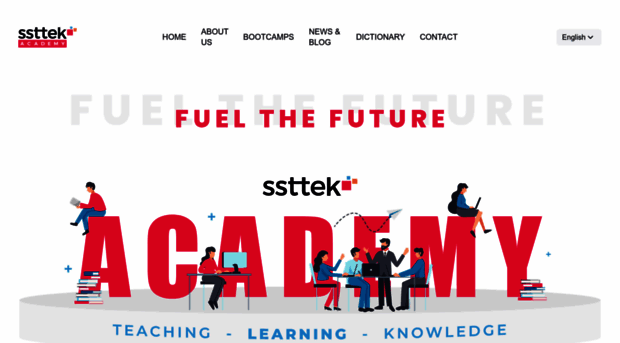 ssttekacademy.com