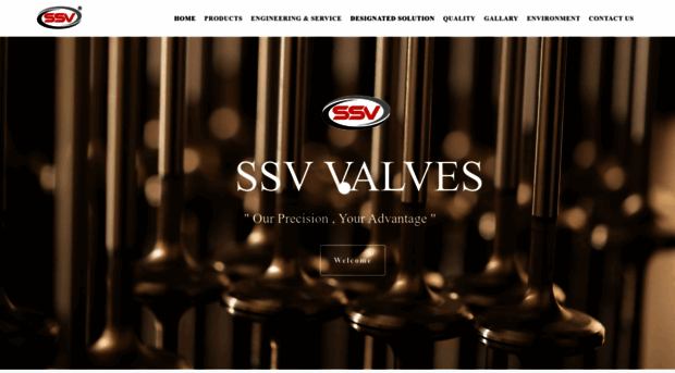 ssvalves.net