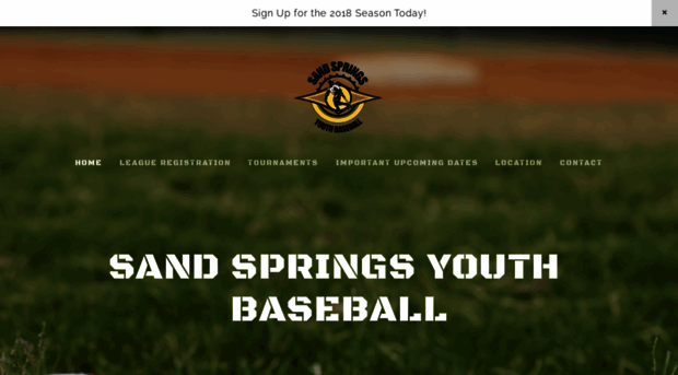 ssyouthbaseball.com