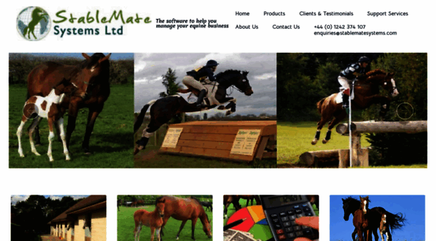 stablematesystems.co.uk