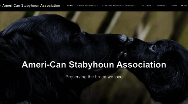 stabyhouns.org