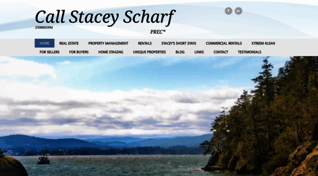 staceyscharf.com