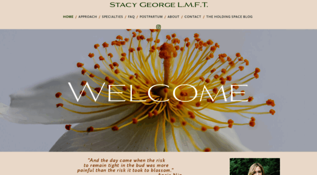 stacygeorgetherapy.com