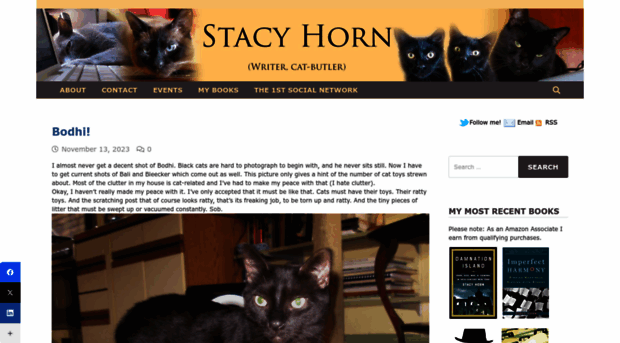 stacyhorn.com