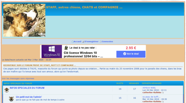 staff-and-co.forum-free.org