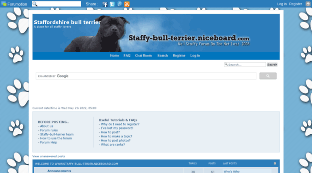 staffy-bull-terrier.niceboard.com