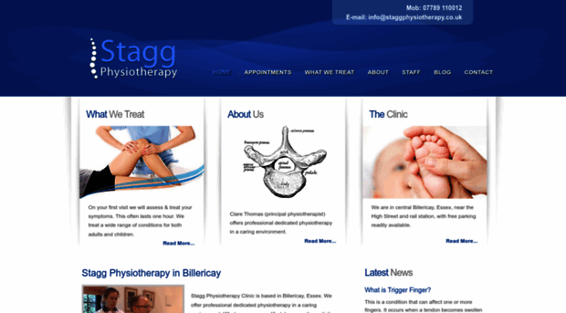 staggphysiotherapy.co.uk